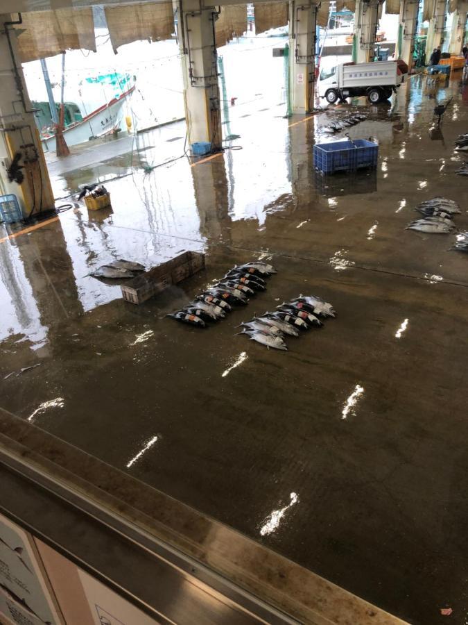 浜の宮七福神 1棟貸し9名様までご利用できます Holiday home Nachikatsuura